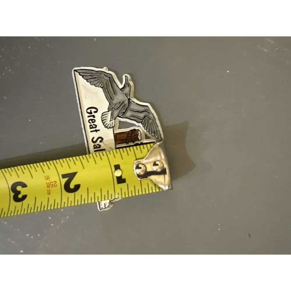Vintage Great Salt Lake Fridge Magnet Travel Souvenir